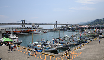 Odawara Fishing Port