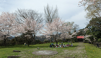 Kawamura Castle Historical Park